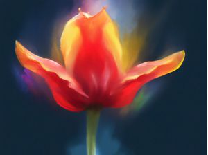 TULIPA AQUARELADA VII