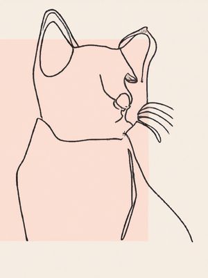GATO ELEGANTE I