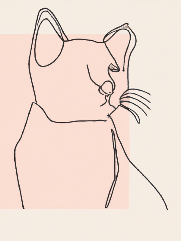 GATO ELEGANTE I
