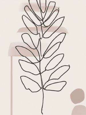 PLANTA ELEGANTE I