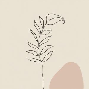 PLANTA MINIMALISTA I