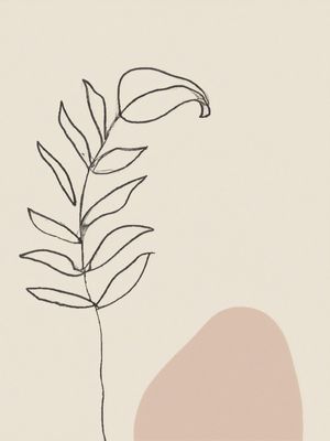 PLANTA MINIMALISTA II