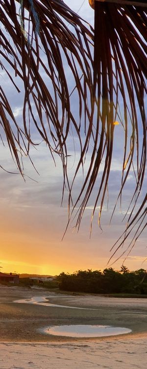 BARRA NOVA PANO VERTICAL