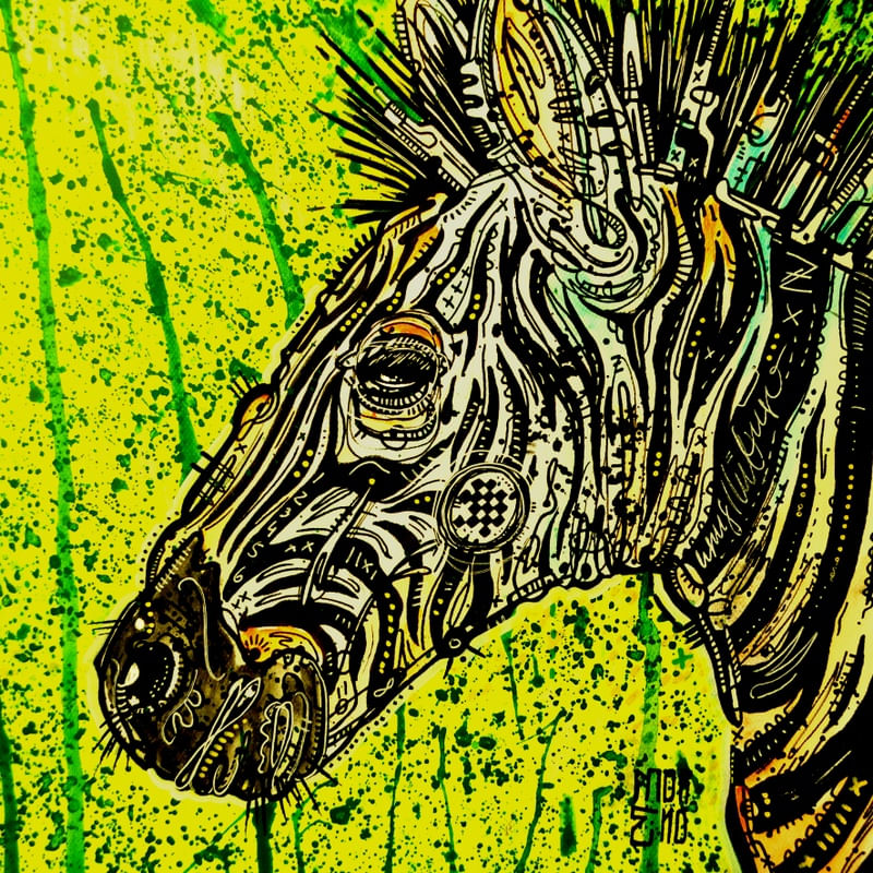 ZEBRA ANIMAL SPLASH