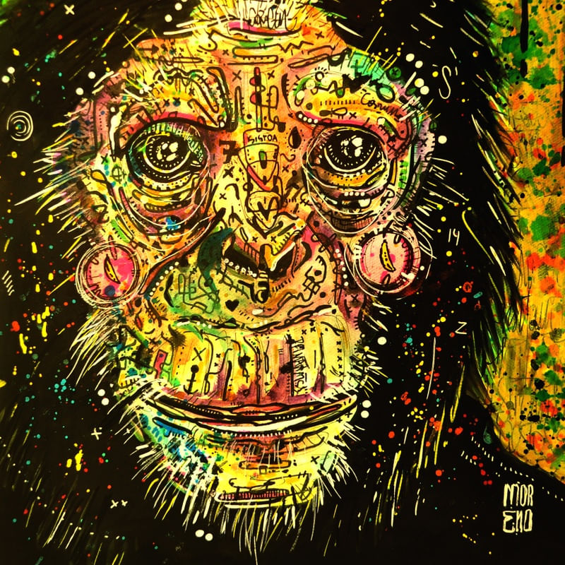 MACACO ANIMAL SPLASH