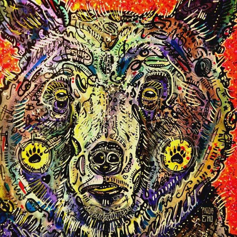 URSO ANIMAL SPLASH