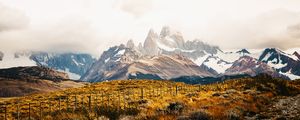TORRES DEL PAINE - 49°22'24" S 72°48'9" W