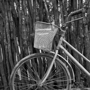 BICICLETA 3 - PB - DV