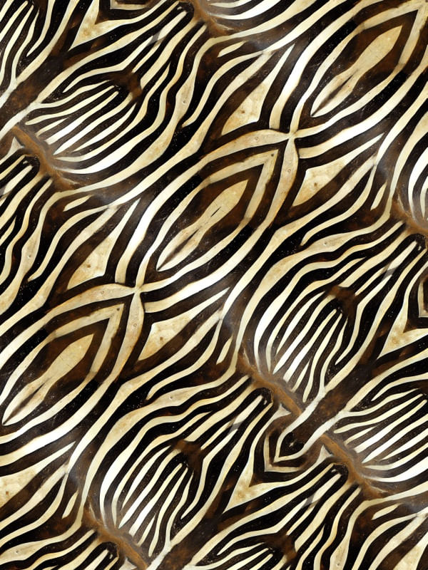 SÉRIE ANIMAL PRINT - ZEBRA - XI