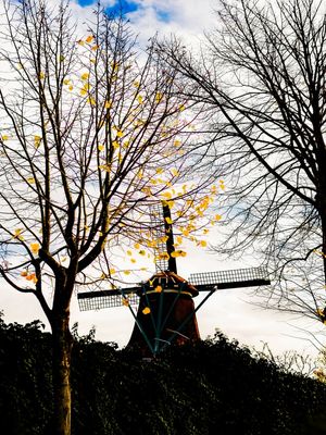 A ESPERA DE QUIXOTE