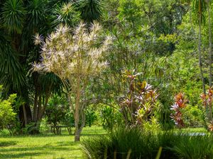 JARDIM JB