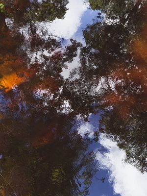 O CÉU NO RIO