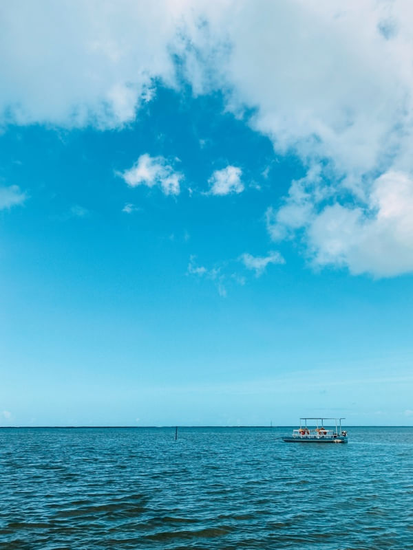 AZUL NORDESTINO