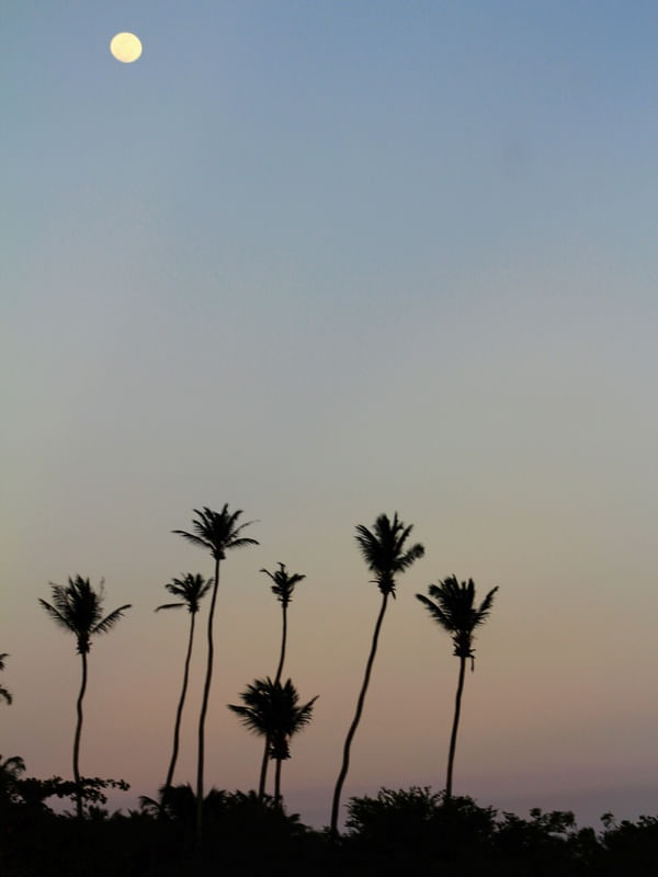 PARAÍSO INFINITO DOS CÉUS - JERI - CEARÁ BR