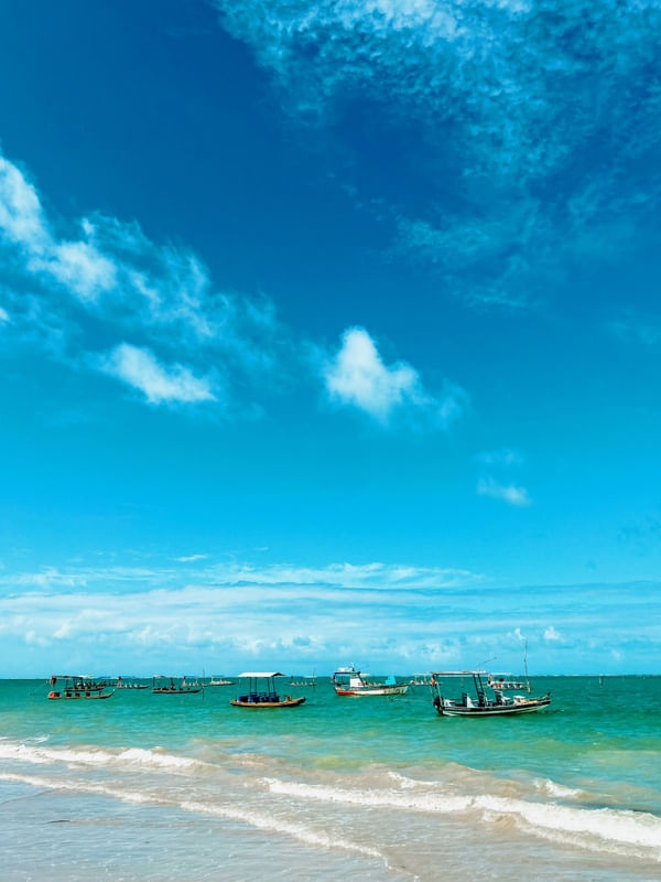 CARAVANA - NORDESTE BRASILEIRO
