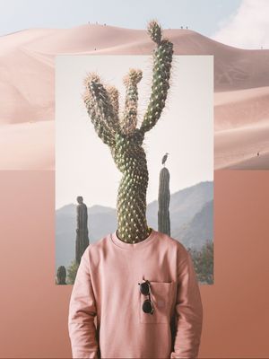 CEREUS
