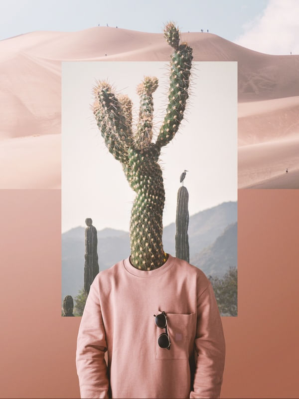 CEREUS
