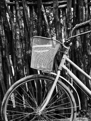 BICICLETA 1 - PB - DV