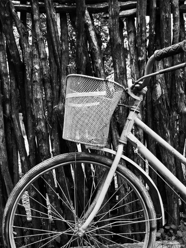 BICICLETA 1 - PB - DV