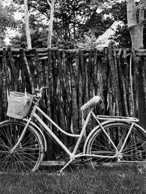 BICICLETA 2 - PB - DV