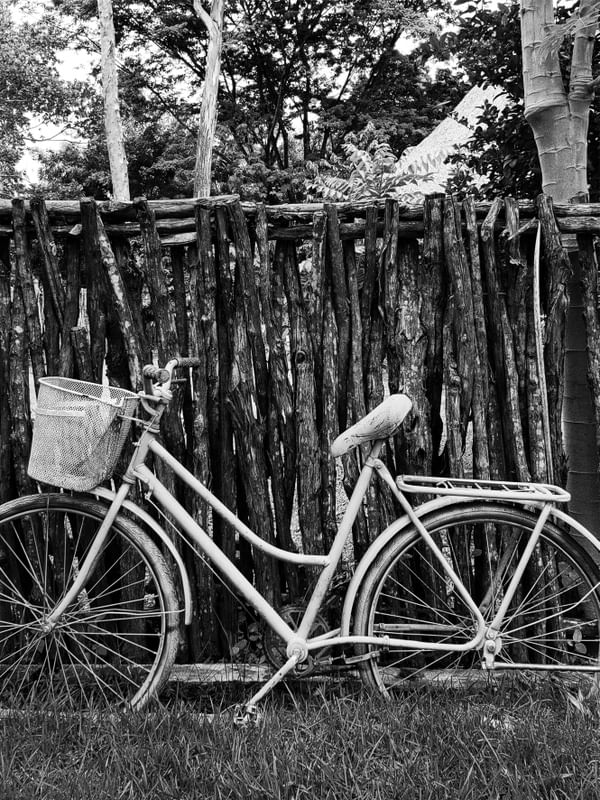 BICICLETA 2 - PB - DV