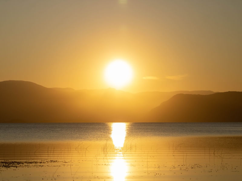 SUN AND SHINE