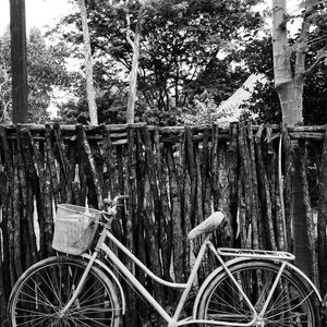 BICICLETA 4 - PB - DV