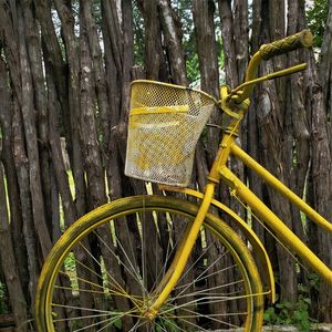 BICICLETA AMARELA - 3 - DV