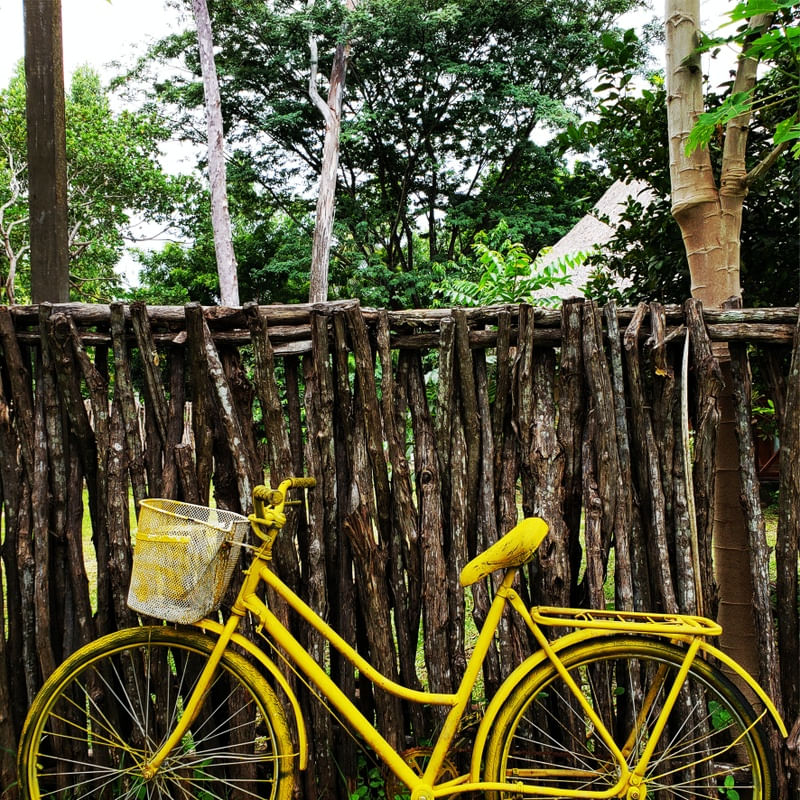 BICICLETA AMARELA - 4 - DV