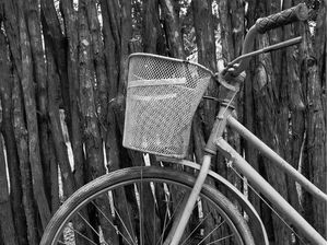 BICICLETA 5 - PB - DV