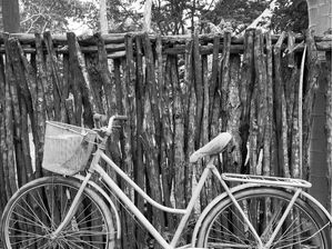 BICICLETA 6 - PB - DV