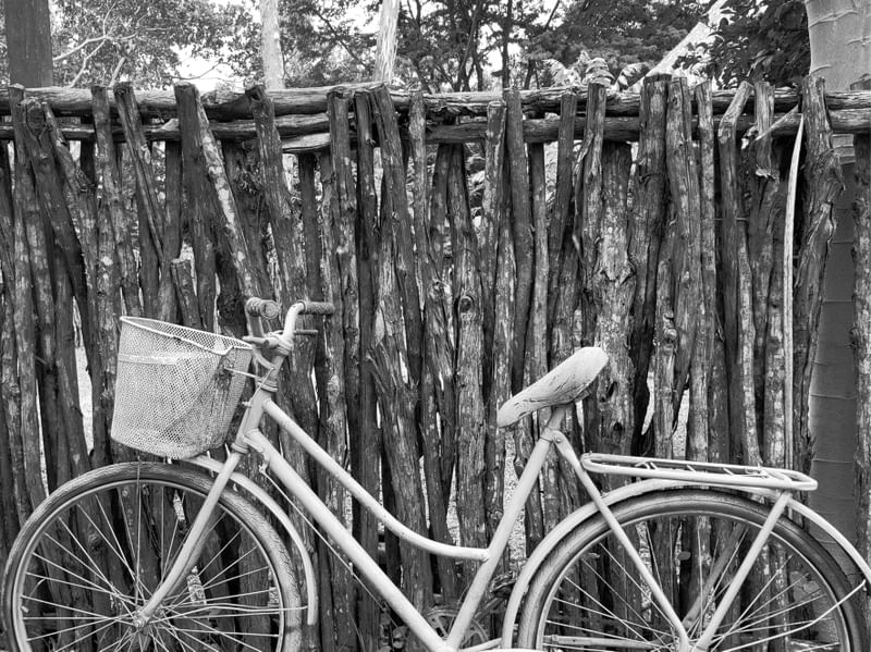 BICICLETA 6 - PB - DV
