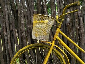 BICICLETA AMARELA 5 - DV