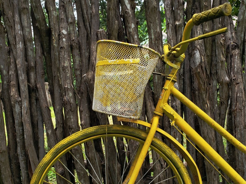 BICICLETA AMARELA 5 - DV