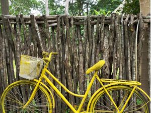 BICICLETA AMARELA 6 - DV