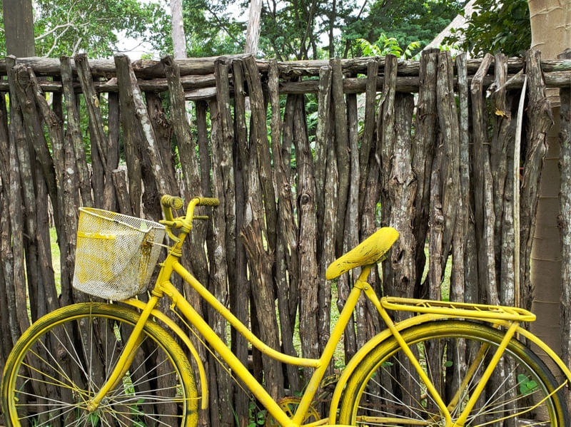 BICICLETA AMARELA 6 - DV