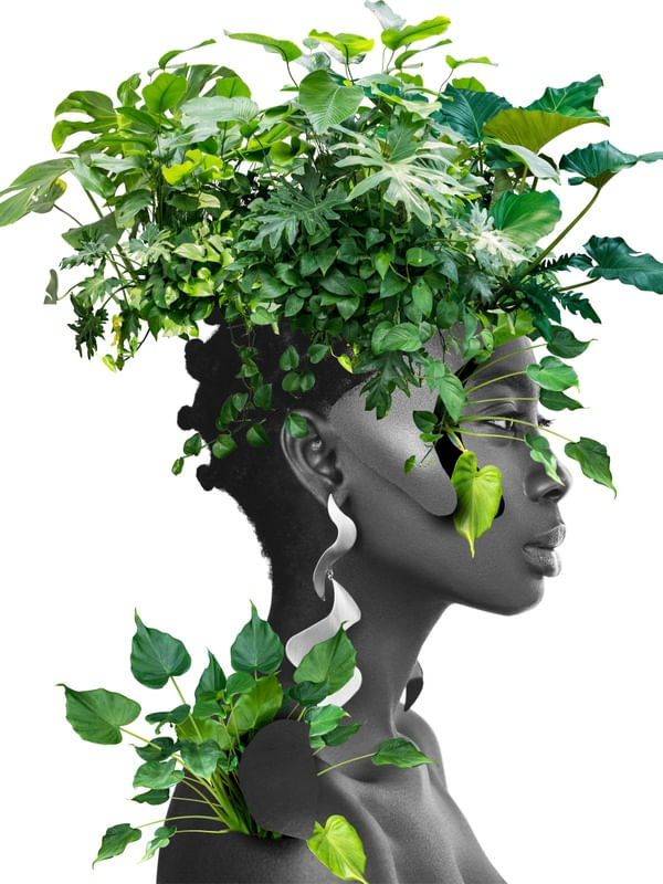 RAINHA FLORESTA DS