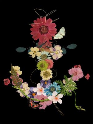 ANCORA DE FLOR