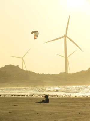 GOLDEN HOUR CÃO PRAIA II