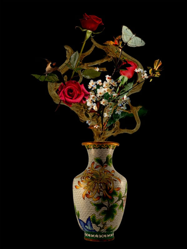 NATUREZA CONTEMPORANEA