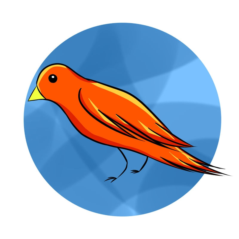 PASSARO LARANJA