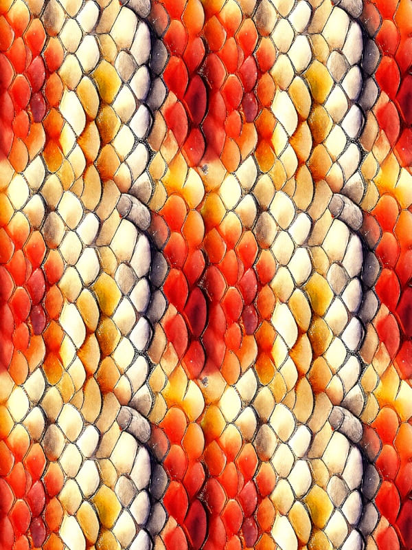 SÉRIE ANIMAL PRINT - COBRA - III