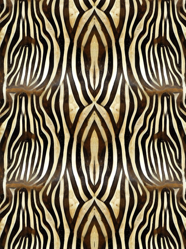 SÉRIE ANIMAL PRINT - ZEBRA - XII