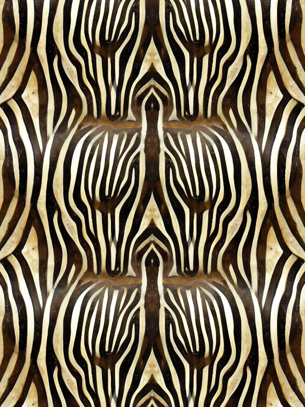 SÉRIE ANIMAL PRINT - ZEBRA - XV