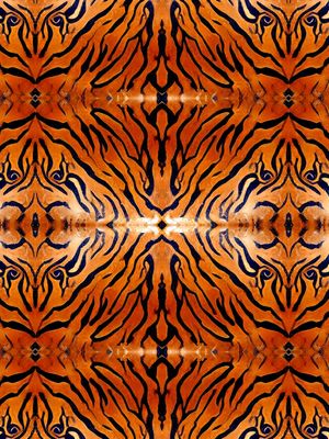 SÉRIE ANIMAL PRINT - TIGRE - XX