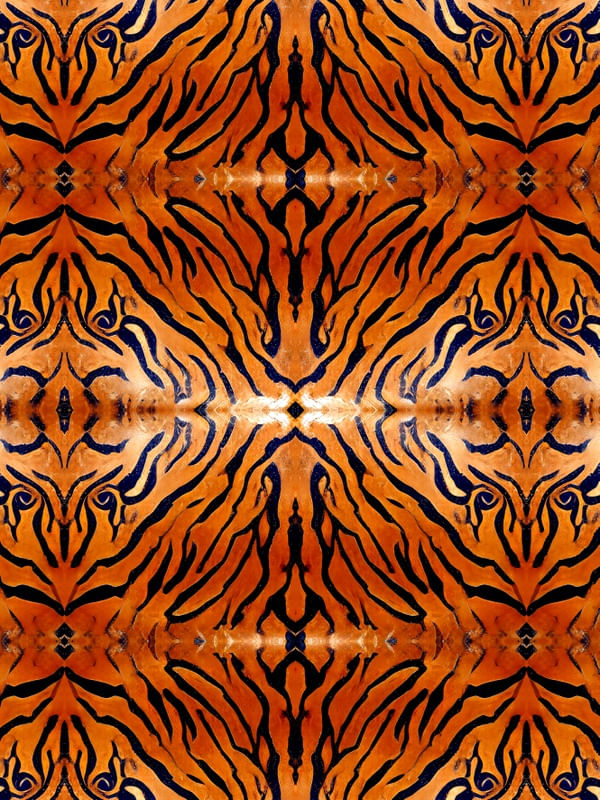 SÉRIE ANIMAL PRINT - TIGRE - XX