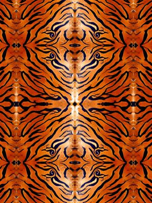 SÉRIE ANIMAL PRINT - TIGRE - XXI