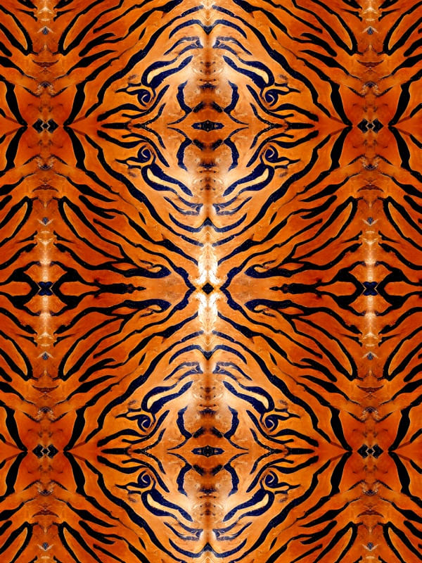 SÉRIE ANIMAL PRINT - TIGRE - XXI