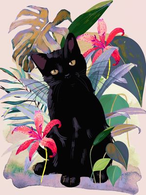 TROPICAL CAT