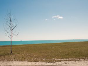 INVERNO EM ILLINOIS